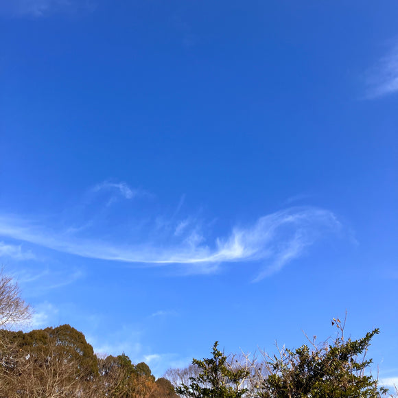 Happy New Year 2024!!!