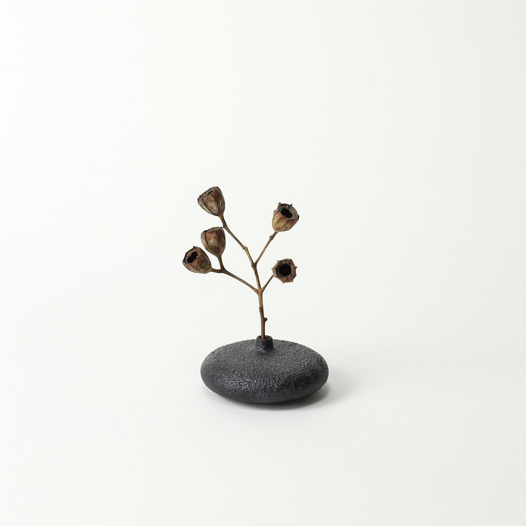 Wild Cherry Dry Flower Vase Dark Charcoal