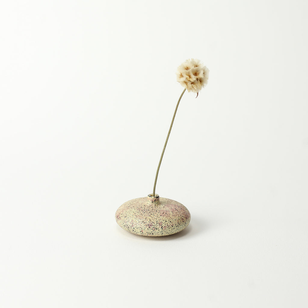 Wild Cherry Dry Flower Vase Pink Cream