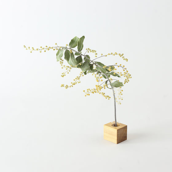 Mosir Blocks - Small One Tube